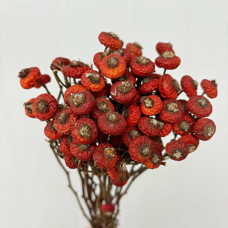 10 шт./пучок, сушеные цветы ши – обзор и цена Dried Flower Bulk