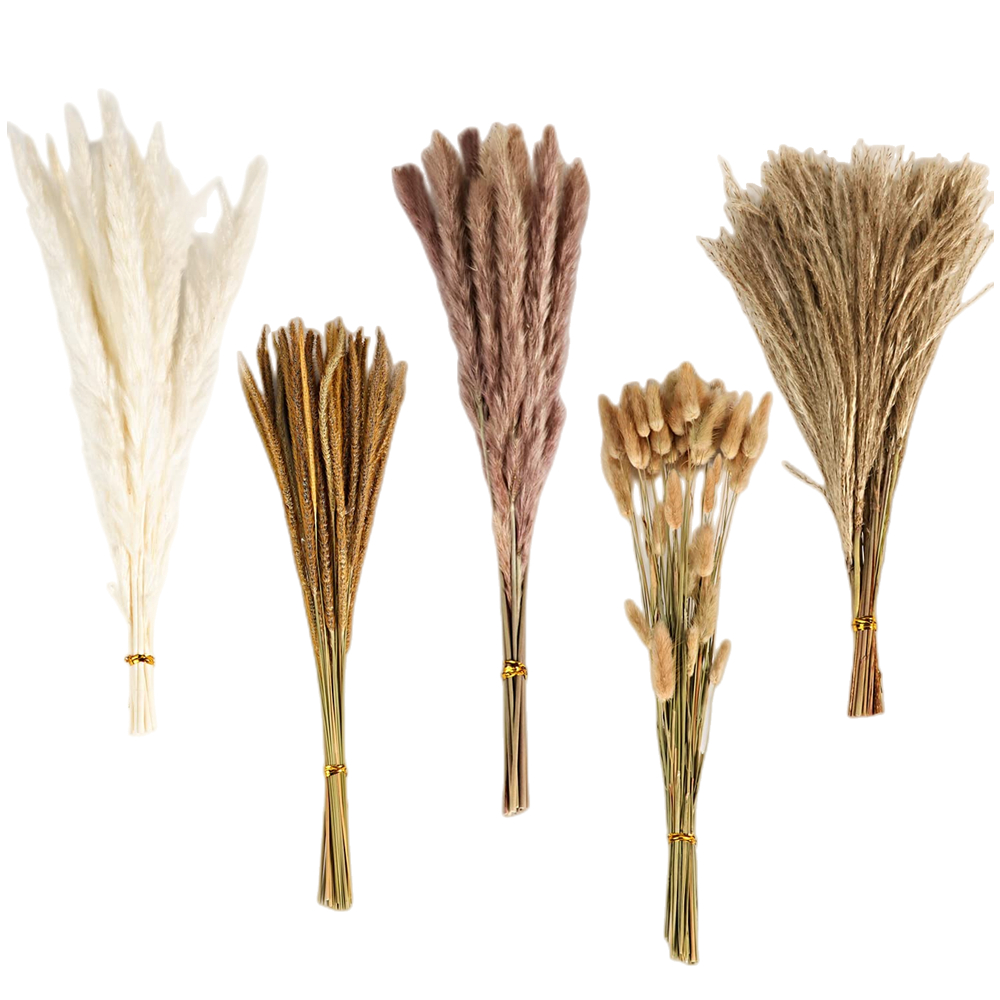 Осенний винтажный букет из сме – обзор и цена Dried Flower Bulk