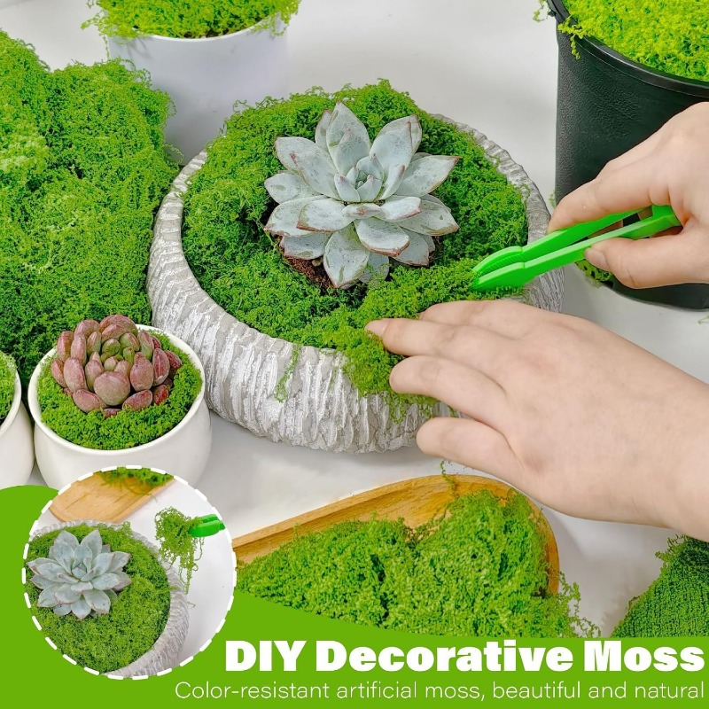 Искусственный зеленый мох для  – обзор и цена Terrarium Moss Art
