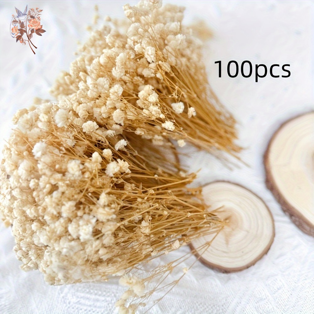 100 шт. миниатюрных сушеных цв – обзор и цена Dried Flower Bulk
