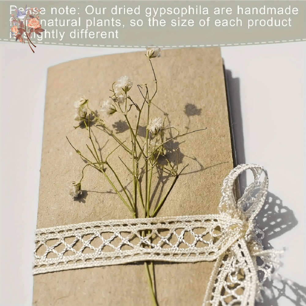 100 шт. миниатюрных сушеных цв – обзор и цена Dried Flower Bulk
